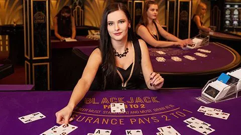 Hình minh họa Giấy phép hoạt động x5bet